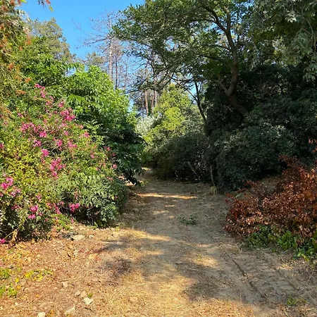 Villa Padulone Aléria