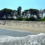 Padulone