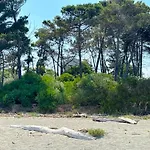 Padulone * Aleria (Corsica)