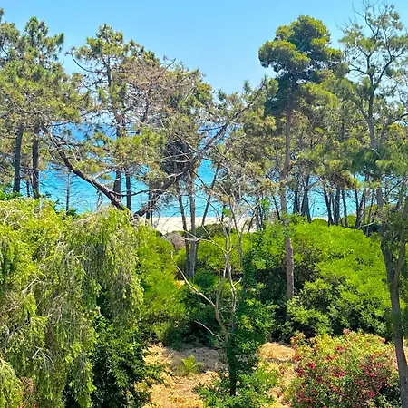 Padulone Villa Aléria