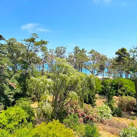 Padulone Villa Aleria (Corsica)