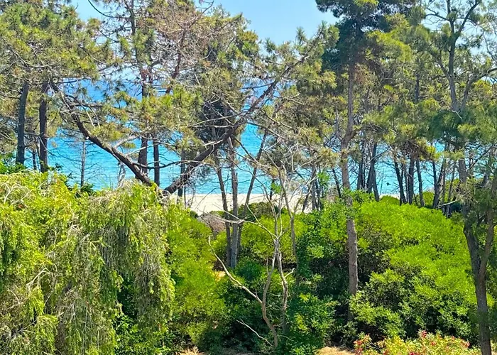 Padulone Villa Aléria